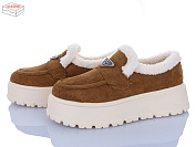 Туфли Zdw RP80-6 от магазина Frison