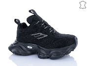 Кроссовки Trasta WDP1905-1 от магазина Frison