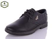 Туфли Paliament C1905-1 от магазина Frison