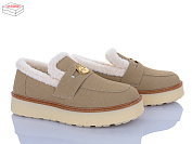 Туфли Zdw MX982-3 от магазина Frison